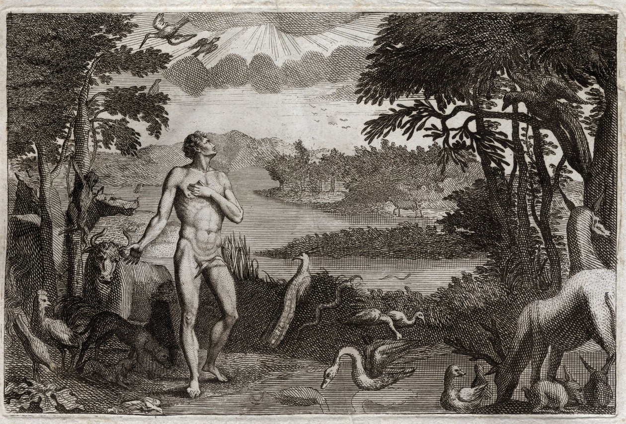 Royaumont Bible, Old Testament: Creation of Man and Woman. God who created man, puts him in the earthly Paradise, and forbids him to eat of the fruit of the tree of the knowledge of good and evil. Illustration from 1811. by Unknown artist