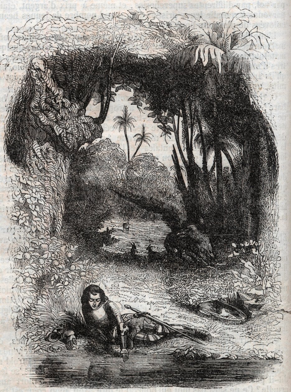 Ruggiero on the island of Alcina - 1851 engraving from the poem 