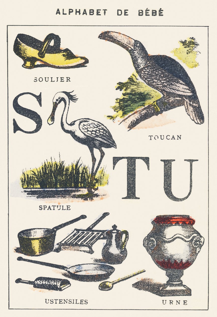 S T U: shoe, spatula, toucan, utensils, urn by Unknown artist
