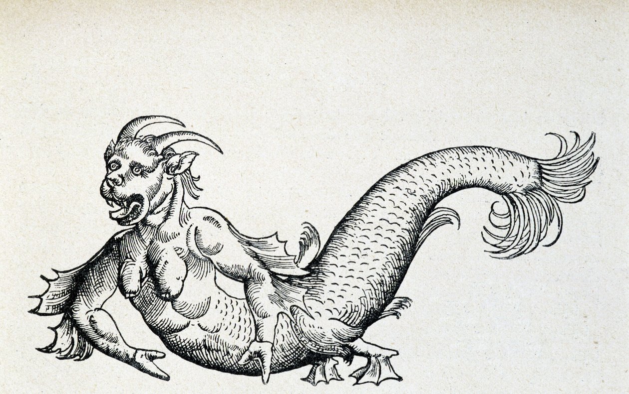 Sea devil, supposedly captured in the Adriatic Sea at the beginning of the 15th century - according to Gesner by Unknown artist
