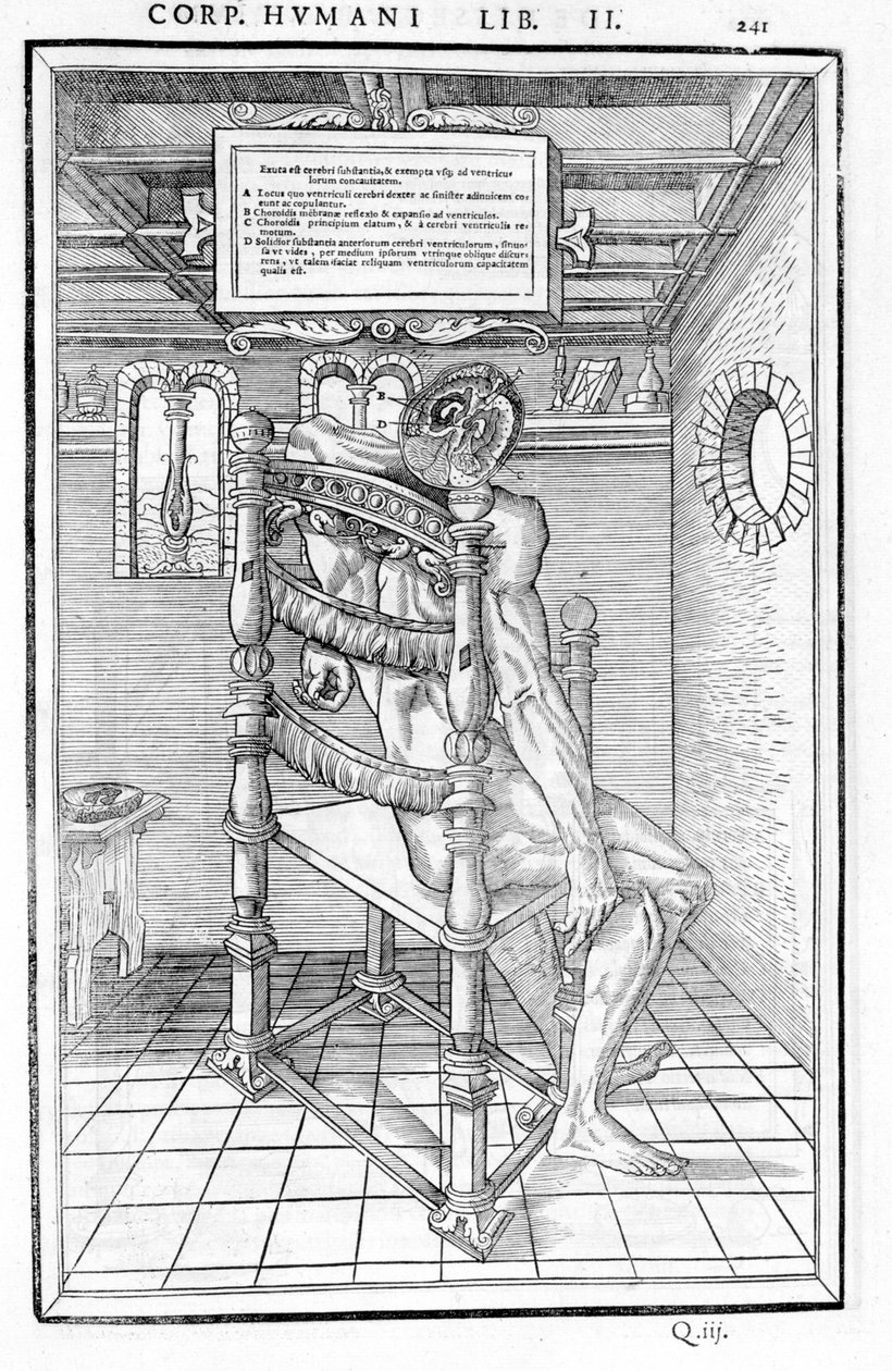Skull Cut. Anatomical Board of De dissectione partium corporis humani lbri tres by Carlo Stefano Riverio, Paris 1545 by Unknown artist