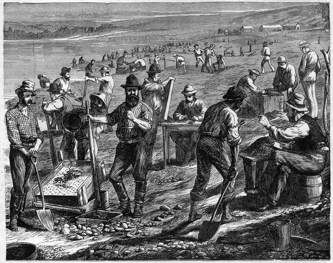 The Diamond Fields at the Cape - Washing for Diamonds in South Africa in the 19th century by Unknown artist
