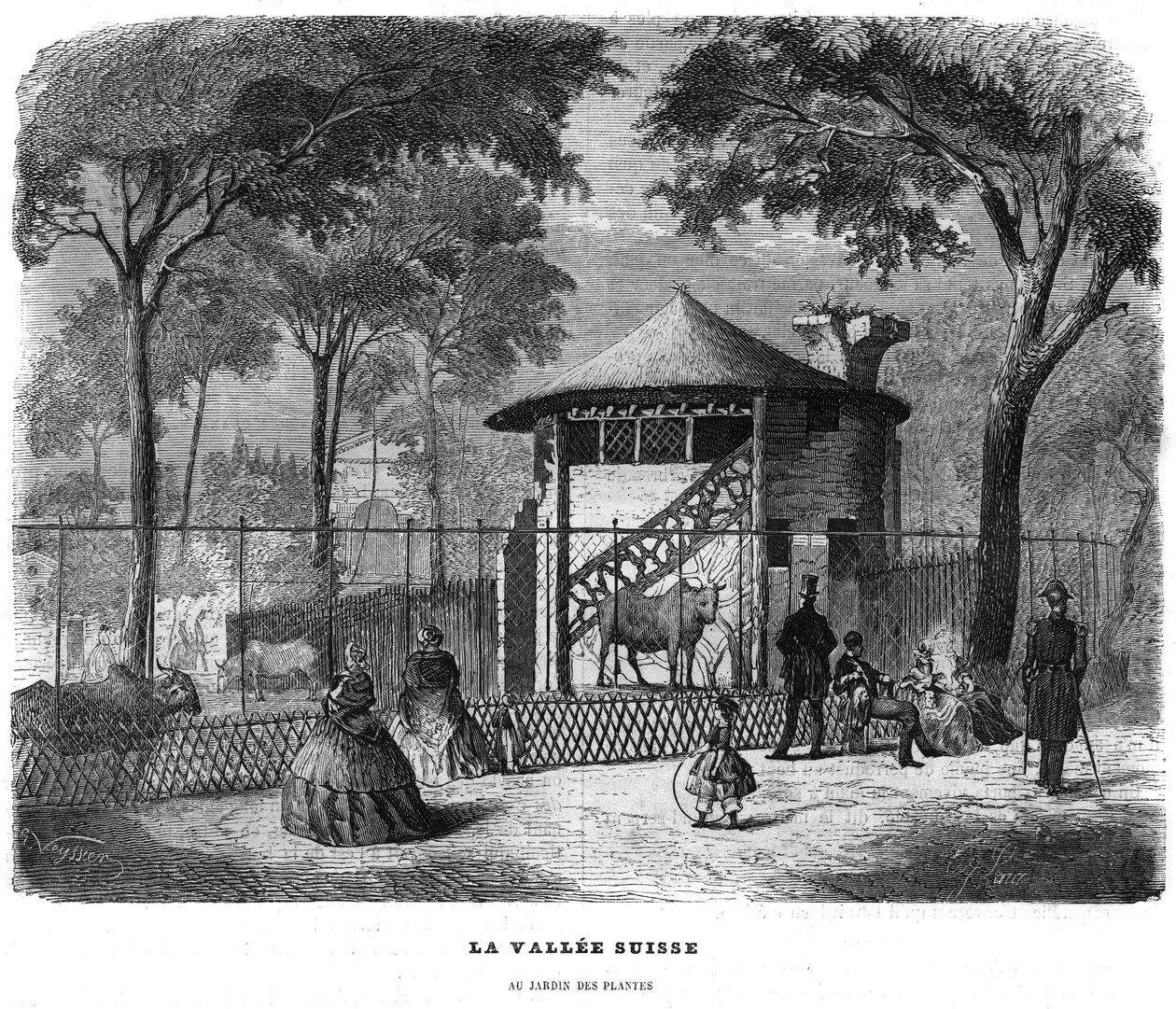 The Swiss valley in the garden of plants in Paris in 1858. by Unknown artist