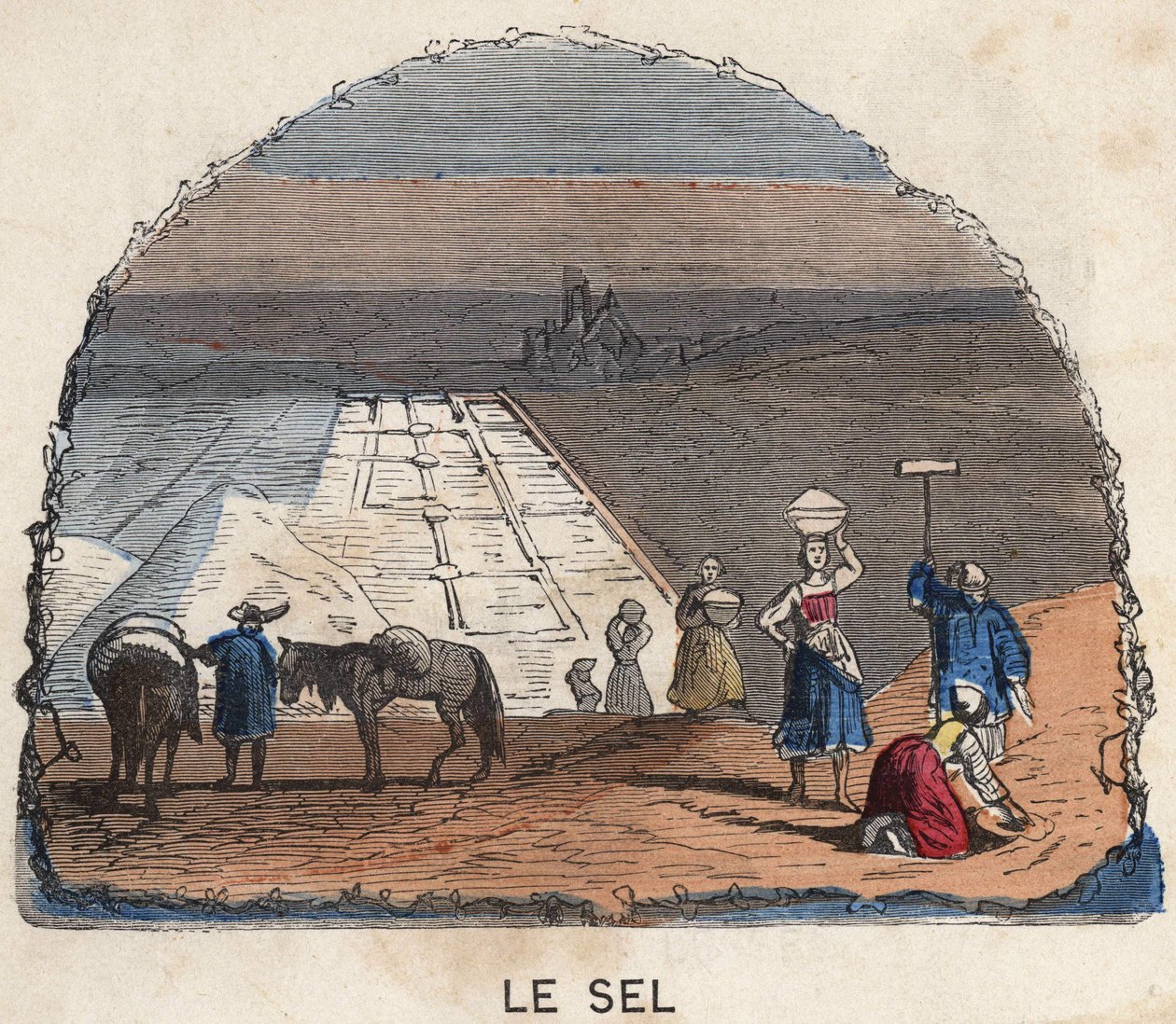 The Collection of Salt. 19th century illustration. Bianchetti Collection by Unknown artist