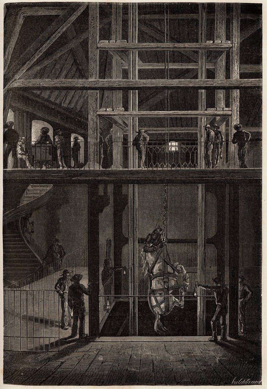 The descent of a horse in the Creusot mines, used in underground tunnels for the transport of coal carts. Engraving to illustrate a voyage to the Creusot and the mines of Saone and Loire, in 1865, by L. Simonin, in 