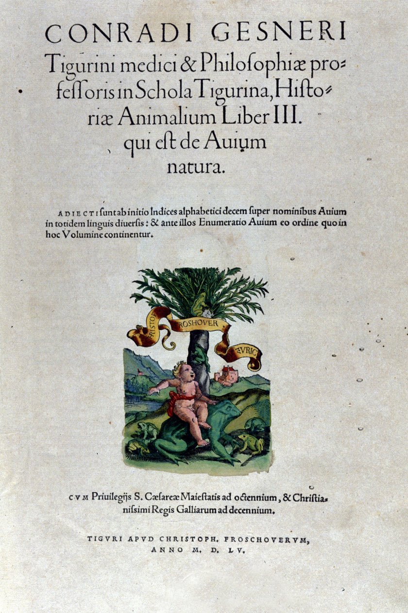 The frontispiece of the third volume by Historia Animalium by Conrad Gesner by Unknown artist