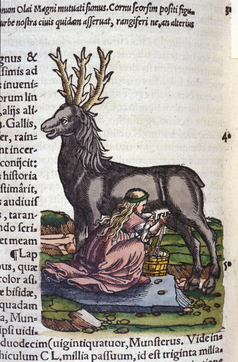 The reindeer trade after Historiae animalium by Konrad Gesner by Unknown artist