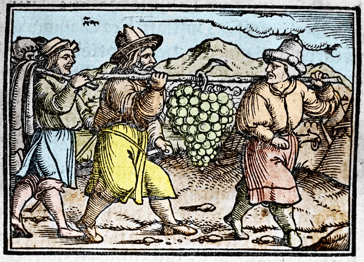The return of Joshua and Caleb with a huge bunch of grapes from the land of Canaan (Promised Land). Chronicle by Johann Stumpff Den edlen strucen besten fromen by Unknown artist
