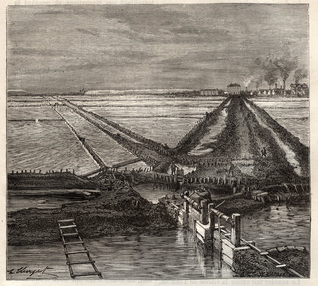 The salt marsh of Giraud in the Camargue, view taken from the service canal - engraving in 