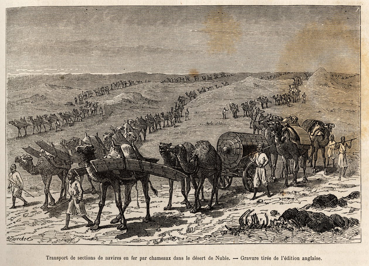 Transport of iron ship sections by camels, in the desert of Nubia (Sudan), engraving illustrating an armed expedition in Central Africa, for the suppression of the black trade by Unknown artist