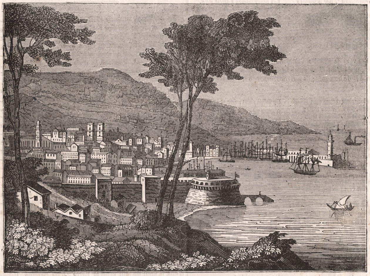 View from a Wooded Hill in Barcelona, Spain by Unknown