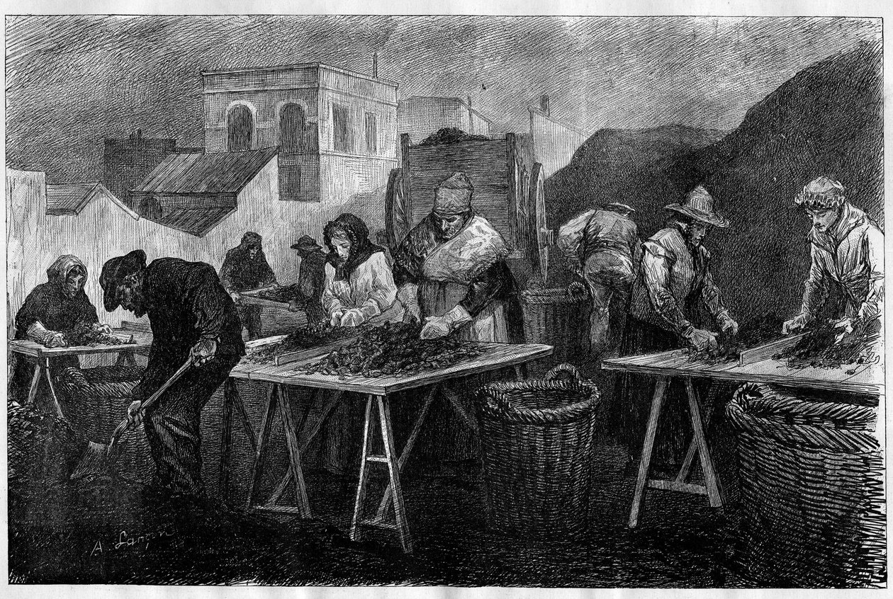 Workers in France: Coke sorters in a gas factory in Paris (engraving in Le Monde Illustré) by Unknown artist