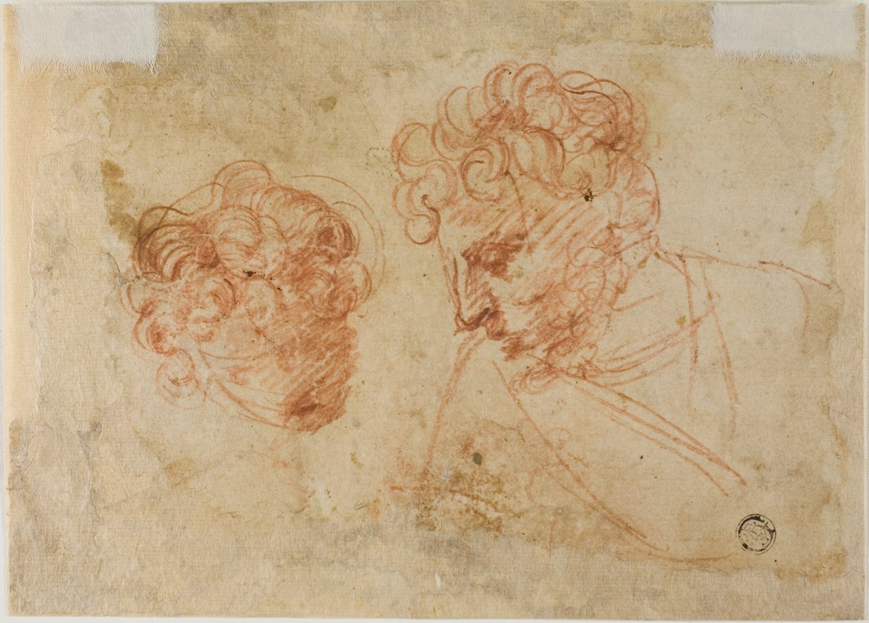 Two Sketches of Heads (recto); Two Sketches of Draped Woman (verso) by Unknown Florentine