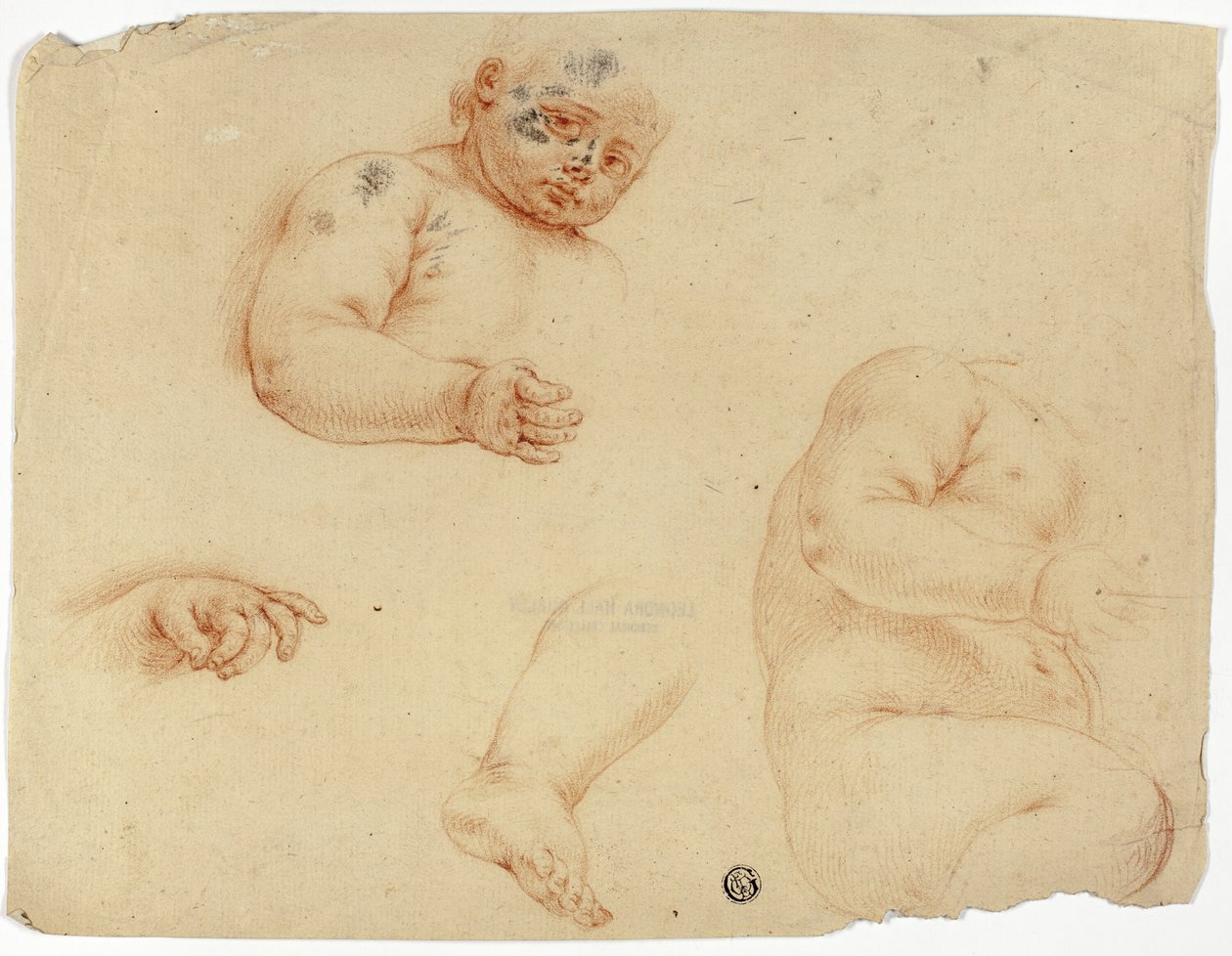 Sketches of a Child: Half-Length, Torso, Foot, Hand by Unknown Lombard