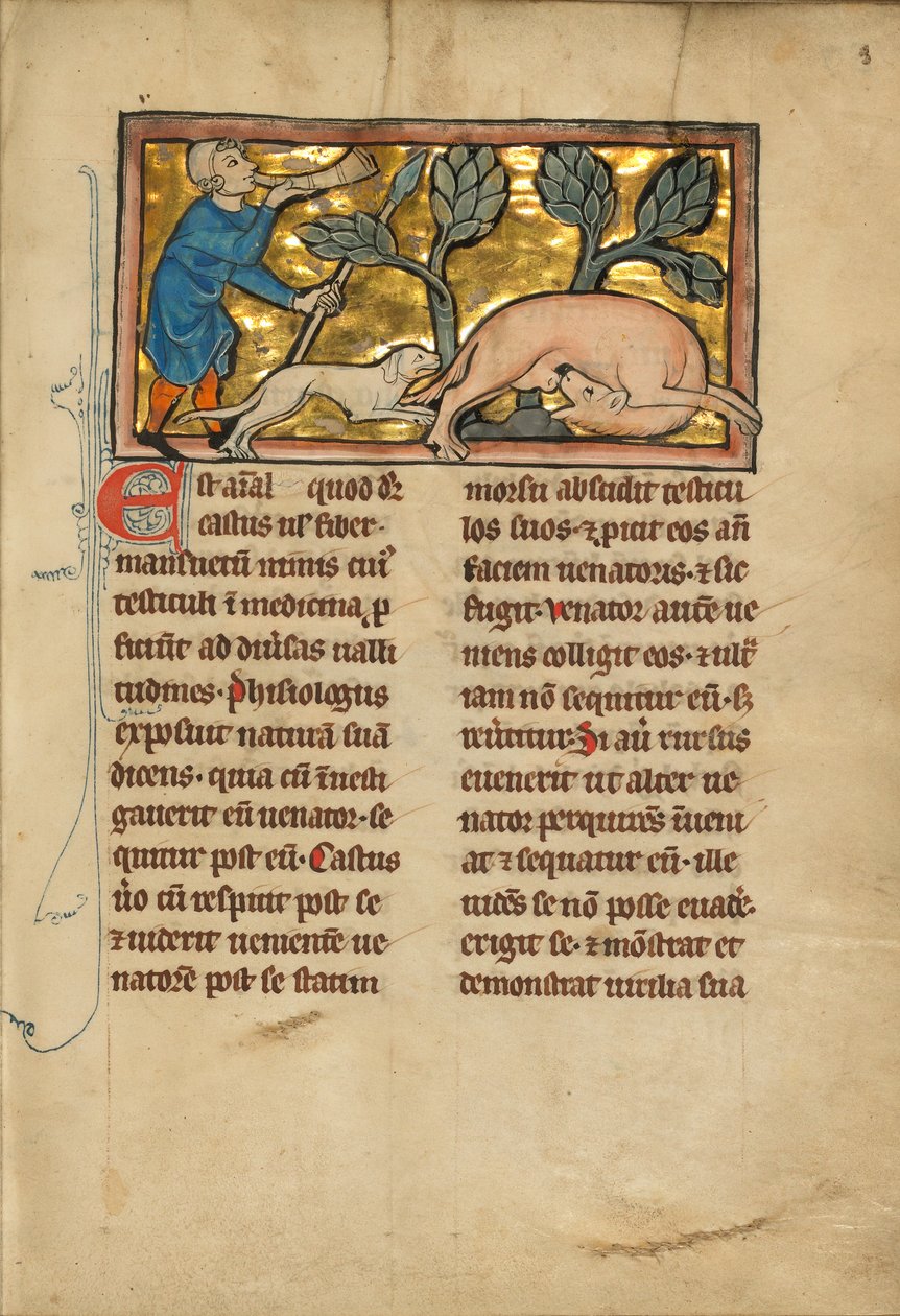 A Hunter and a Beaver by Unknown artist