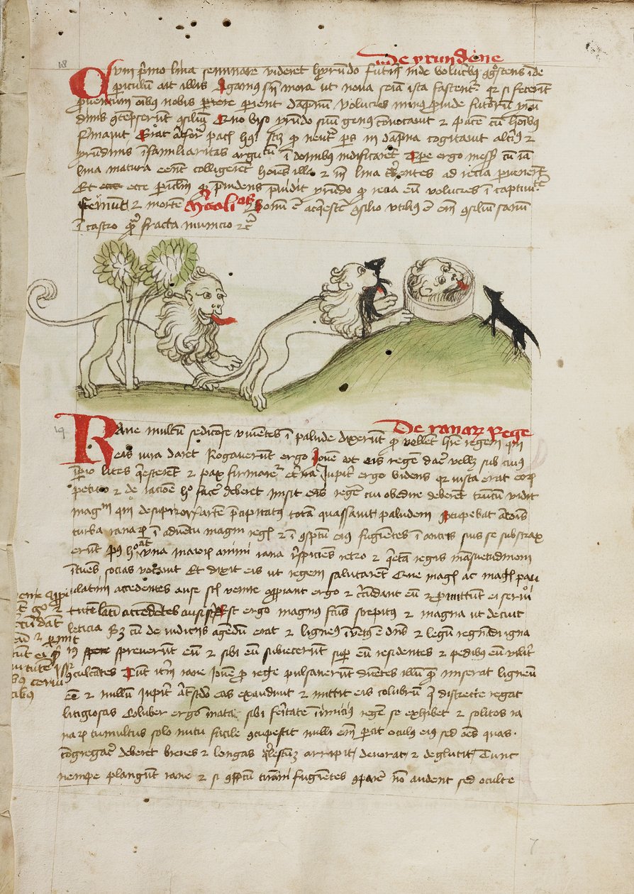 A Lion and Another Lion with a Mouse by Unknown artist