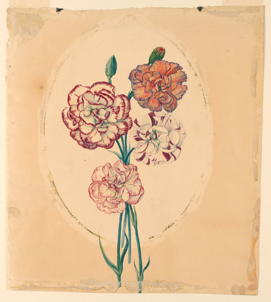 A bunch of four carnations by Unknown artist