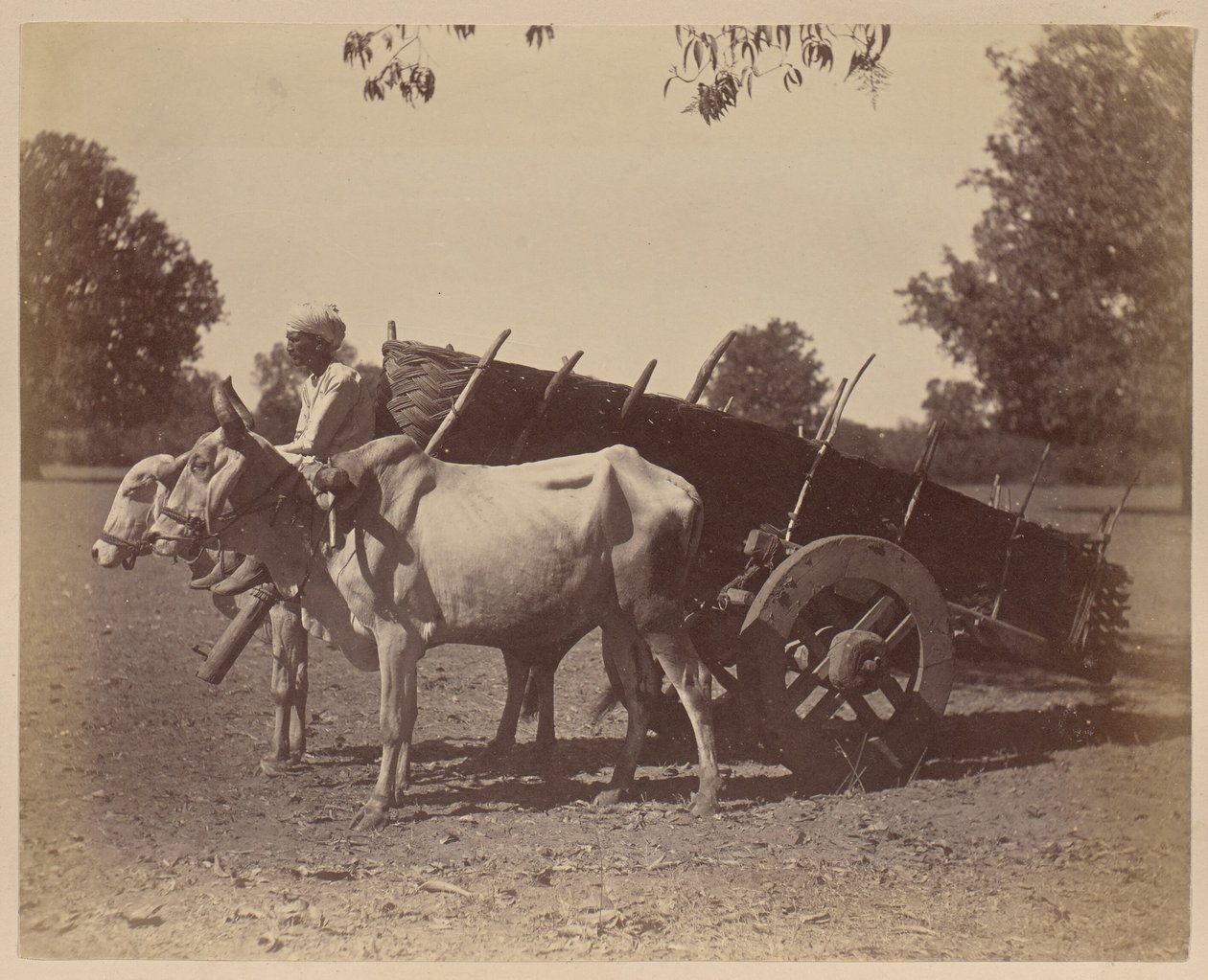 Agricultural Cart, Guzerat by Unknown artist