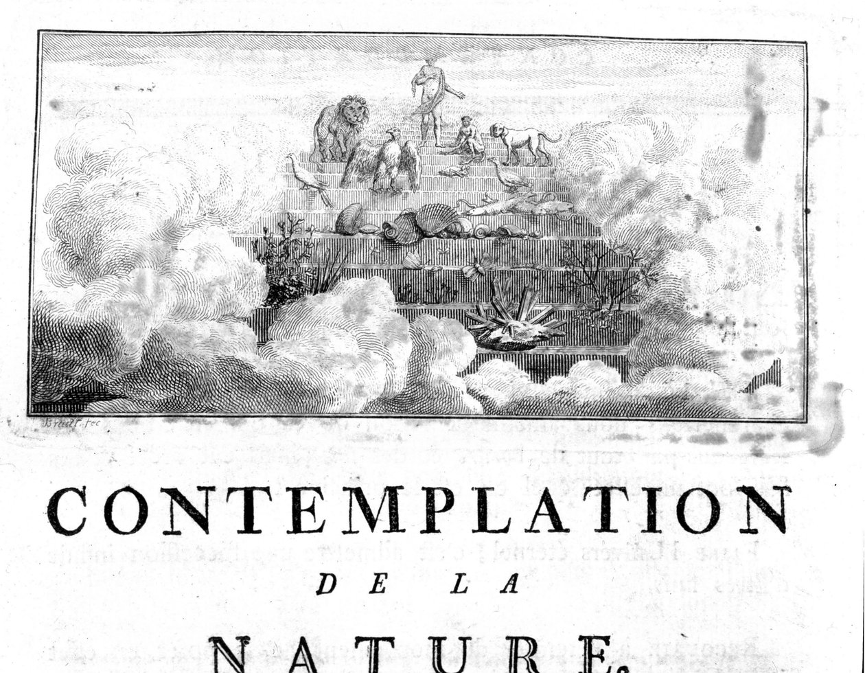 Allegorical representation of the evolution of Man from minerals, passing through plant and animal species. Charles Bonnet, Contemplation of Nature, Neuchatel by Unknown artist