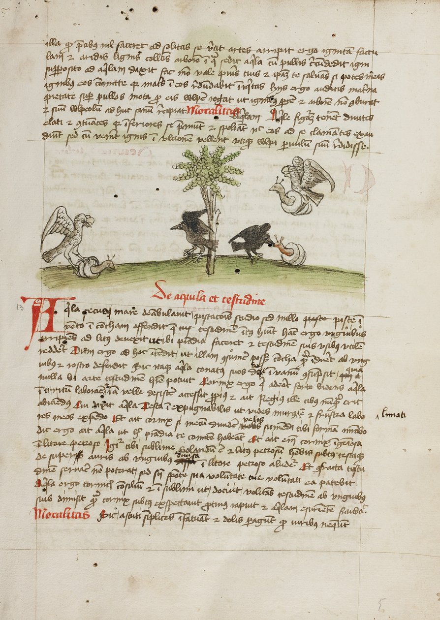 An Eagle Seizing a Snail; A Crow Pecking at a Snail by Unknown artist