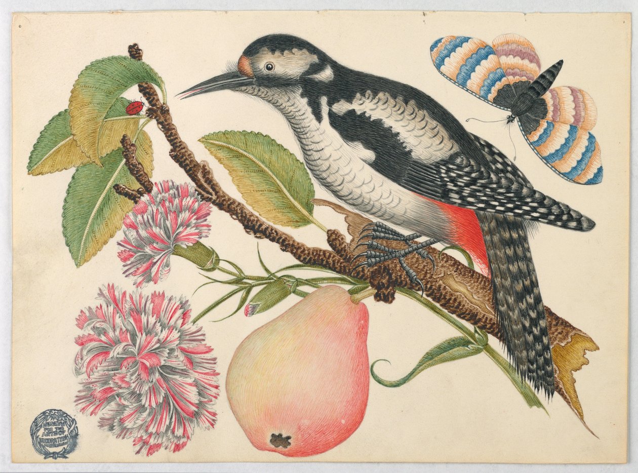 Bird, Butterfly, and Pear by Unknown artist