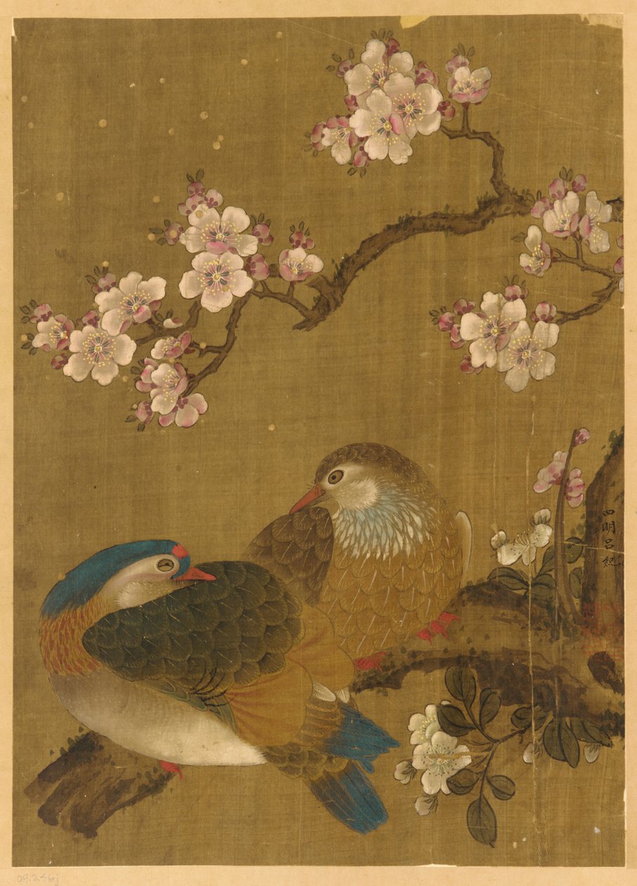 Birds and Plum-Blossoms by Unknown artist
