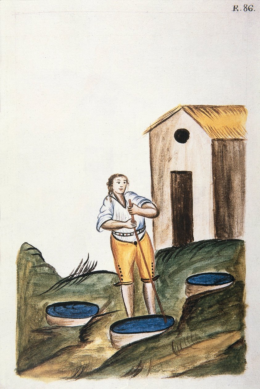 Blue dye tray used to dye wool, from the book Trujillo del Peru or Codice Martinez Compañón, by Baltazar Martinez Compañón y Bujanda, bishop of Trujillo (1782-1785) by Unknown artist