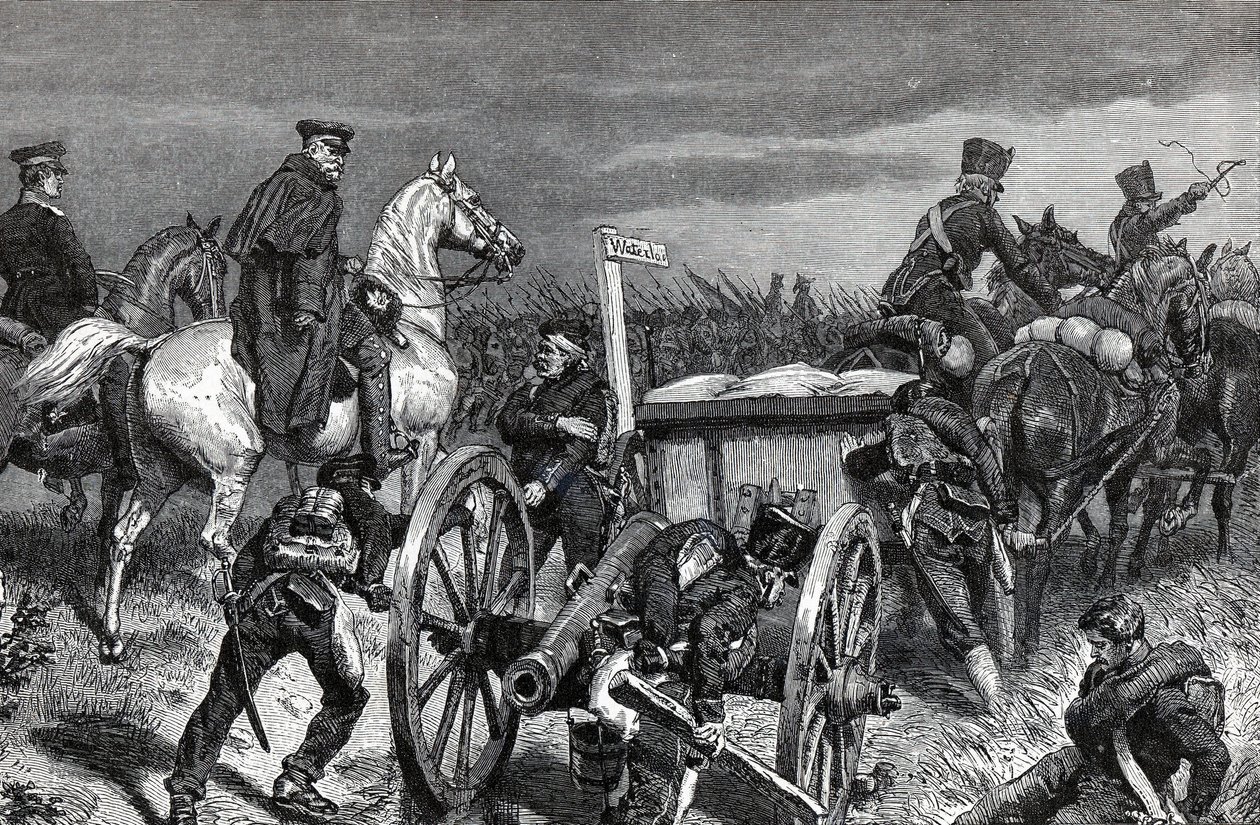 Blucher