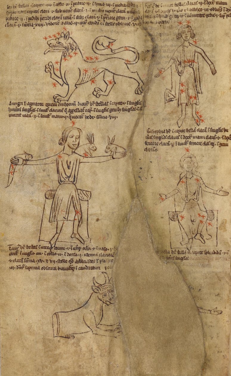 Constellation Diagrams by Unknown artist