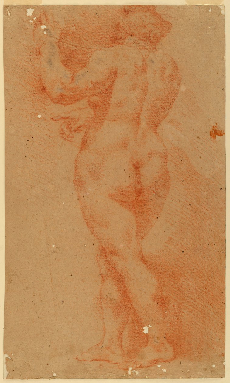 Counterproof Study of a Nude Woman by Unknown artist
