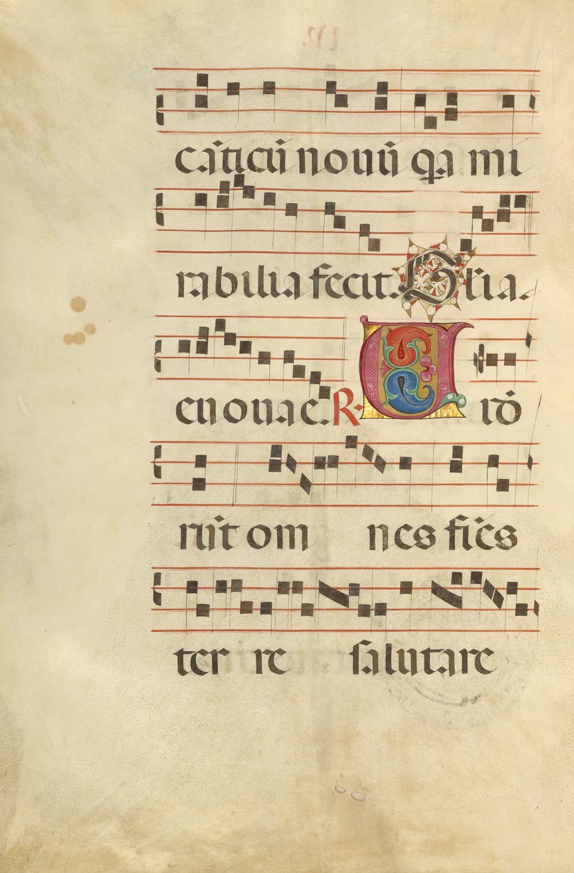 Decorated Initial V by Unknown artist