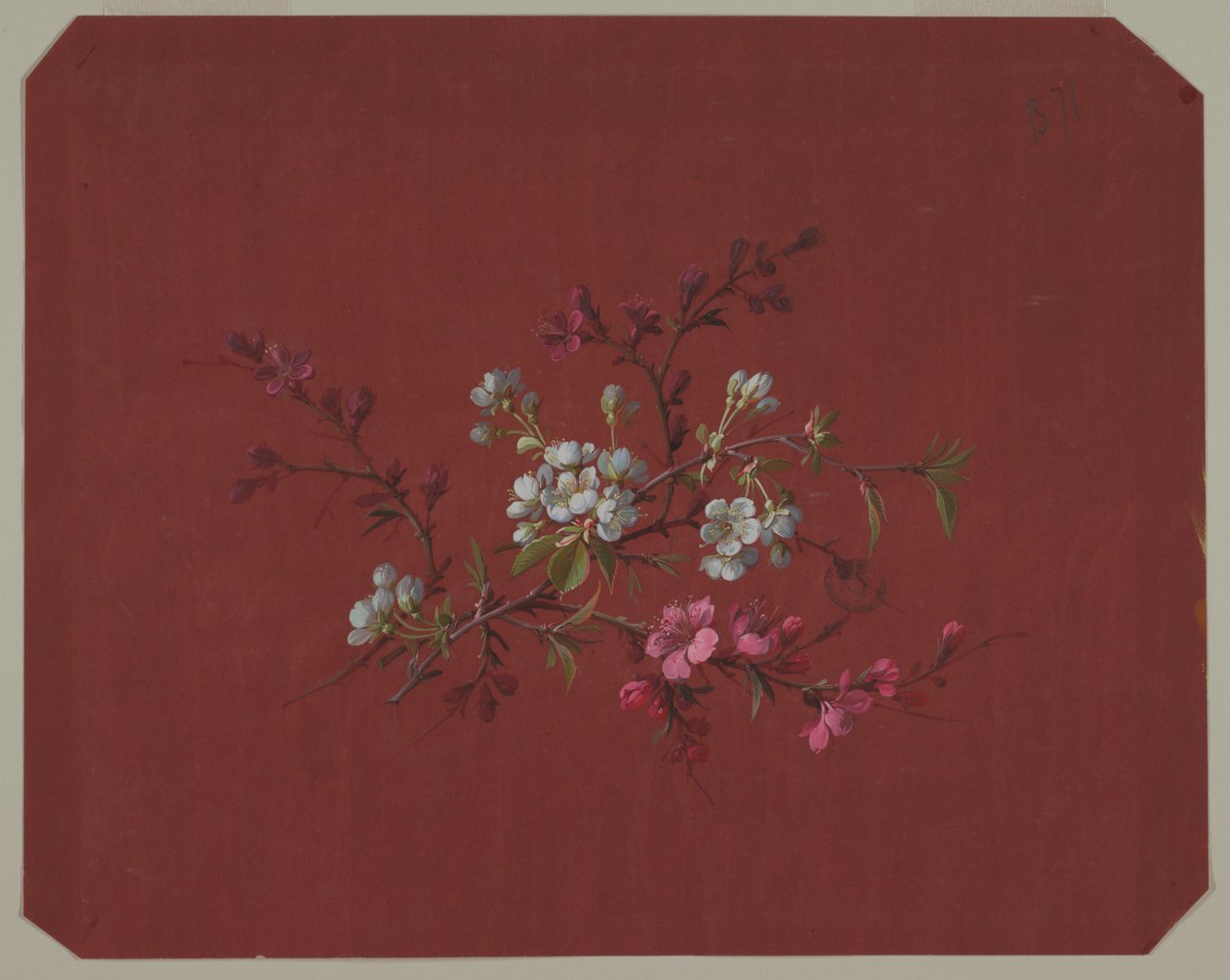 Design for Wallpaper and Textiles: Flowers by Unknown artist
