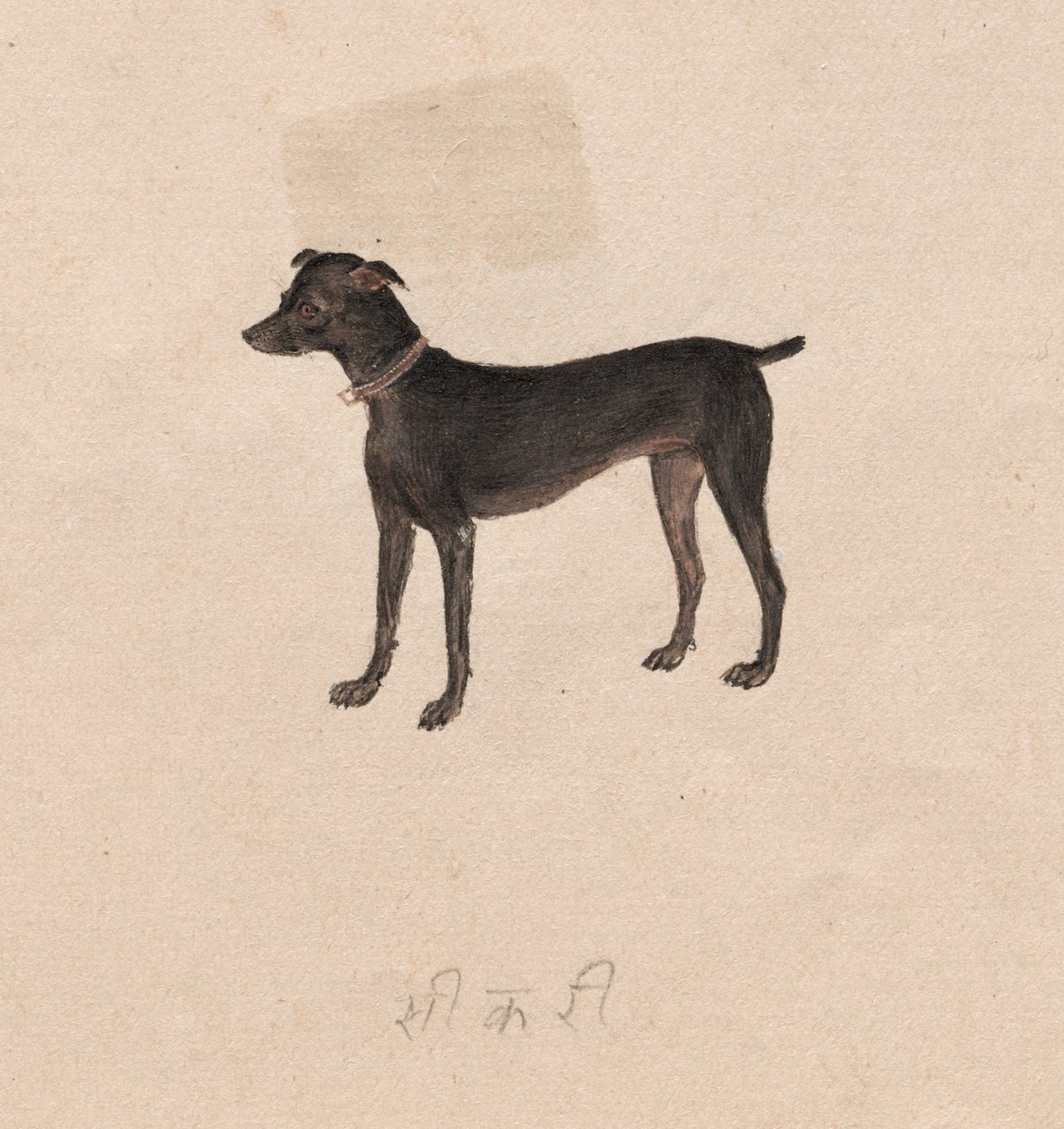 Dog by Unknown artist