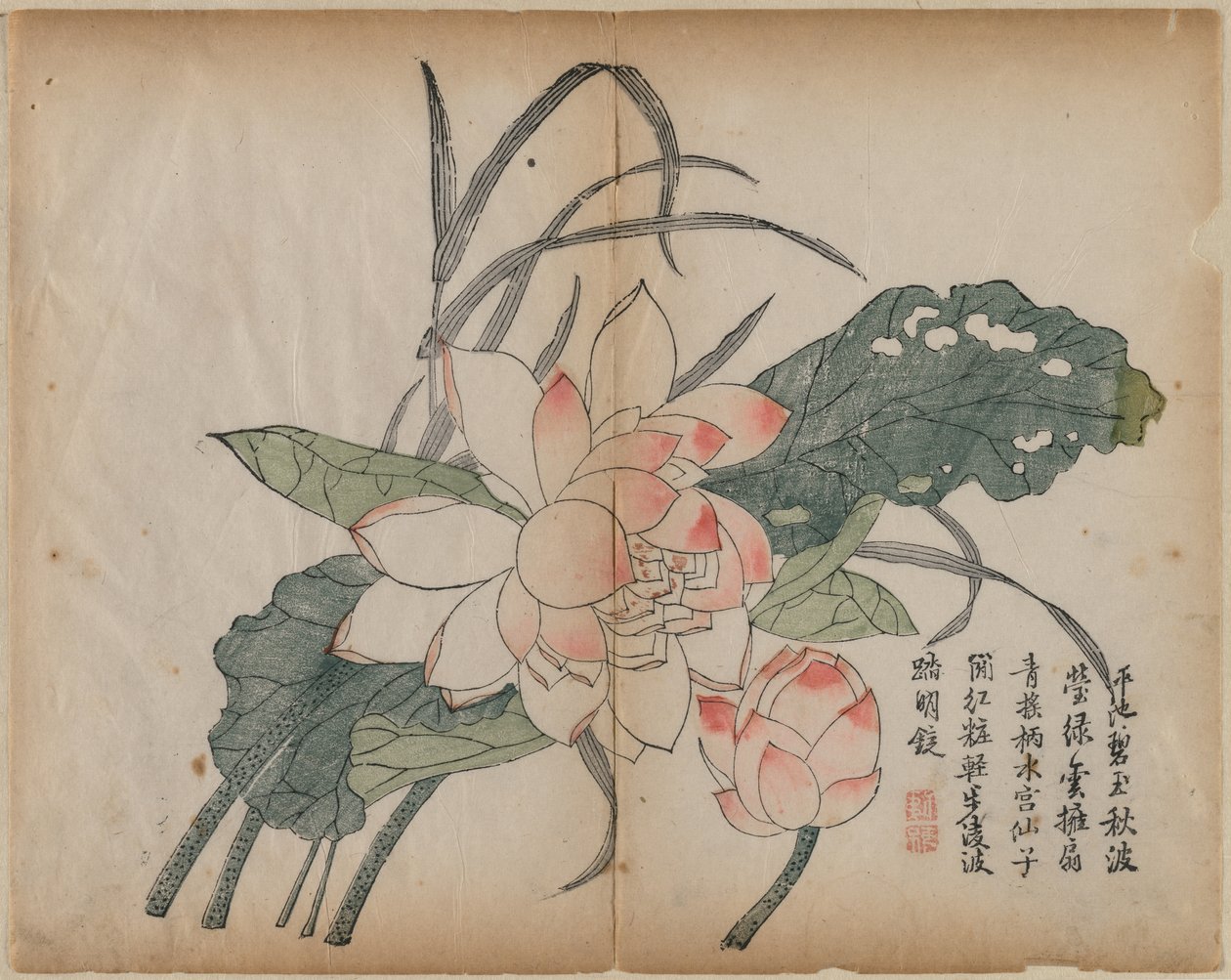 Flowering Lotus and Bud by Unknown artist