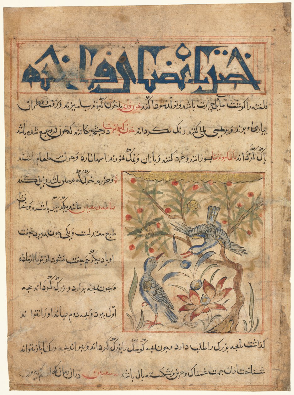 Folio from a Persian Manafi‘ al-Hayawan (The Benefits of Animals) by Unknown artist