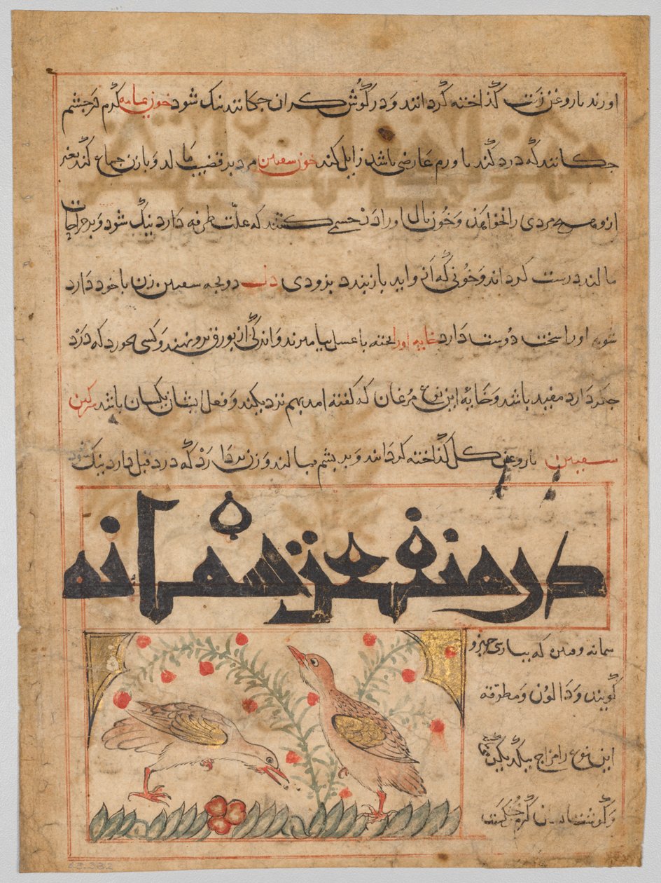 Folio from a Persian Manafi