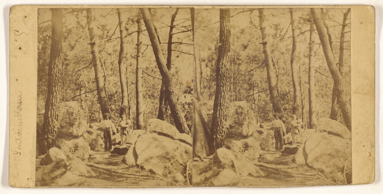 Fontainebleau by Unknown artist