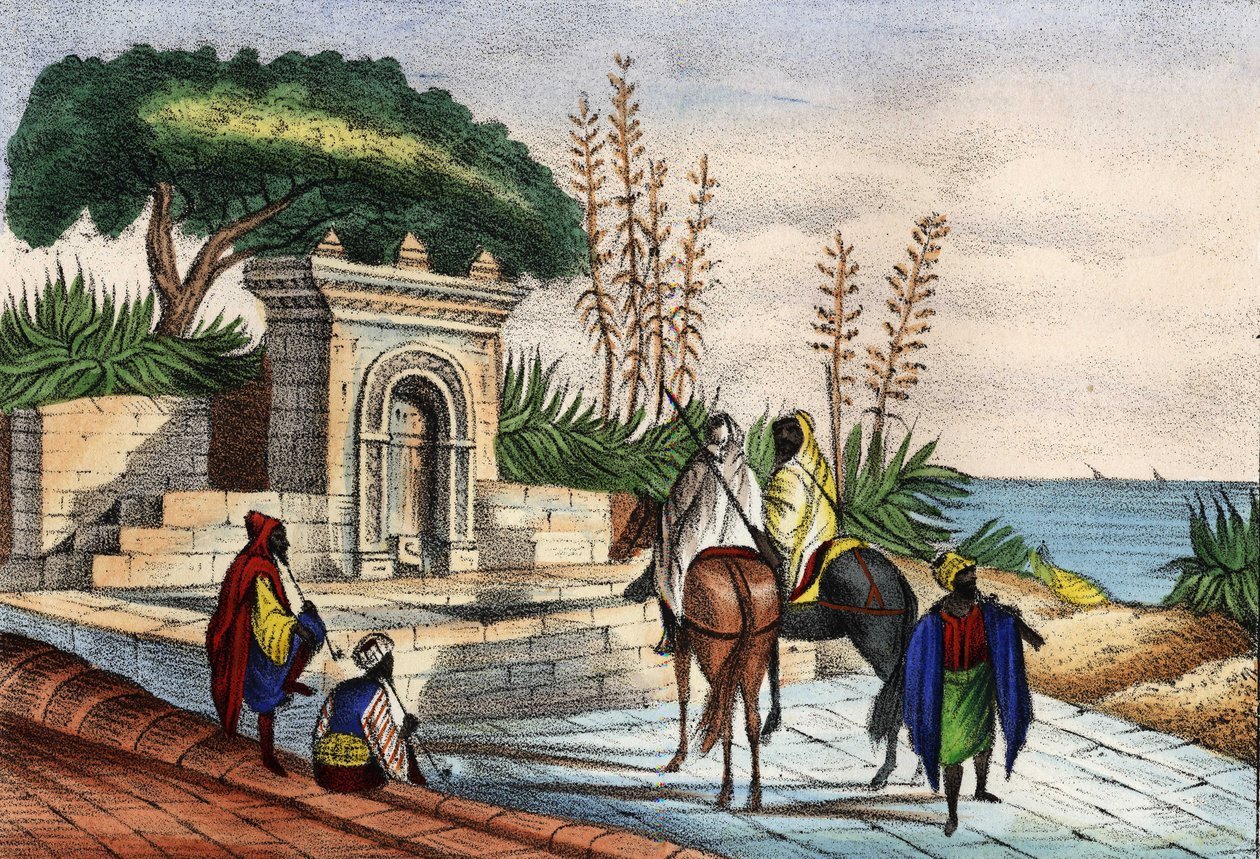 Fountain near Algiers by Unknown artist