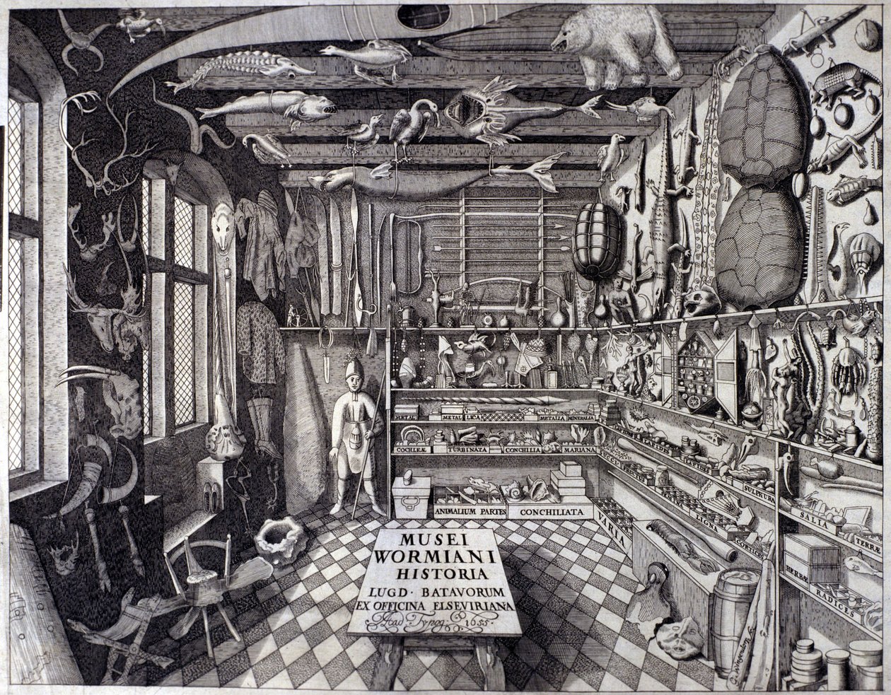 Frontispiece of “Musei Wormiani Historia” showing the interior of the cabinet of curiosities of Ole Worm by Unknown artist