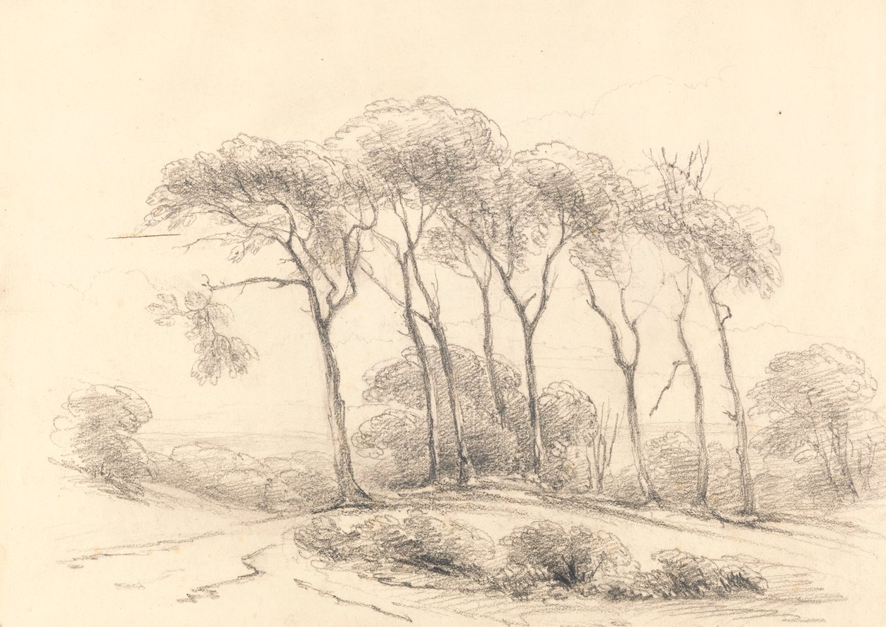 High Trees by Unknown artist