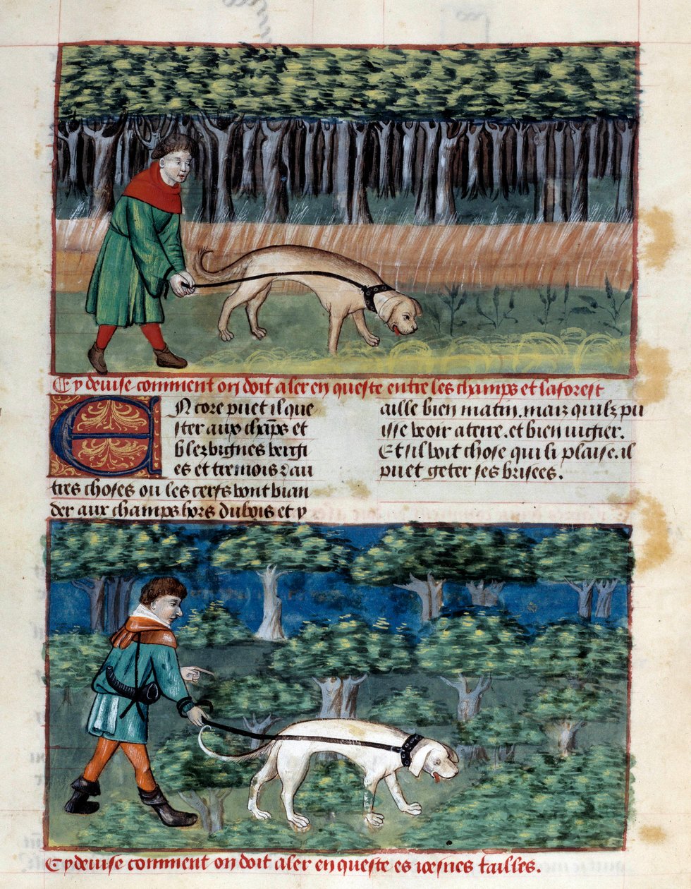How to Conduct Dogs by Unknown artist