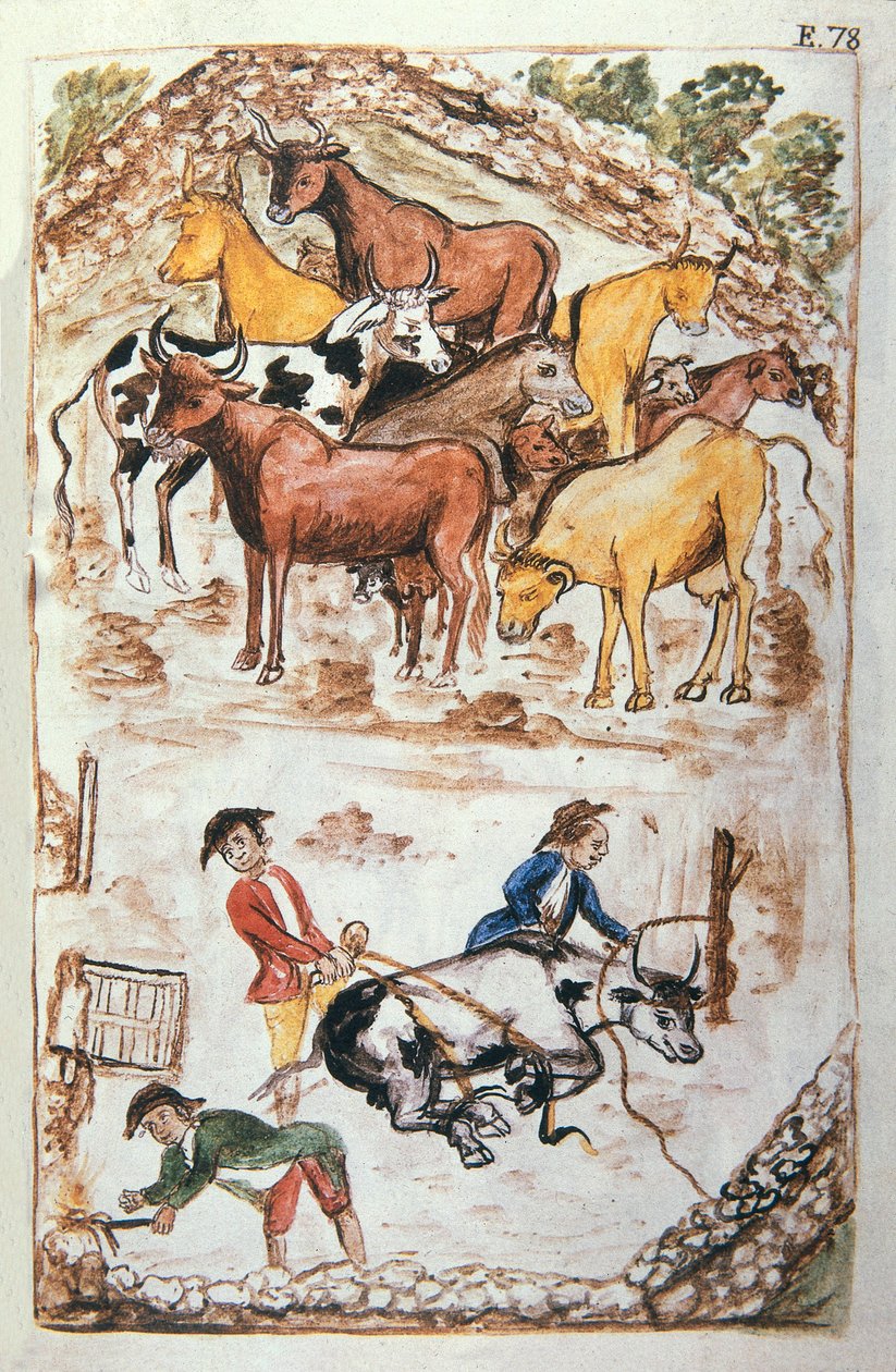 Indian Guardians of Cows, from the book "Trujillo del Peru" or "Códice Martínez Compañón" by Unknown artist