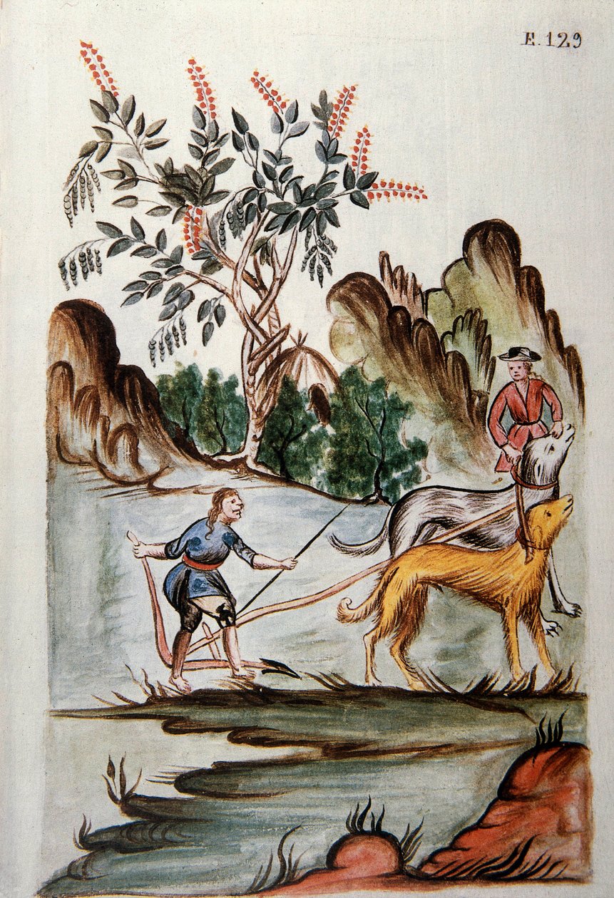 Indians Ploughing a Field with Dogs, from the Book 