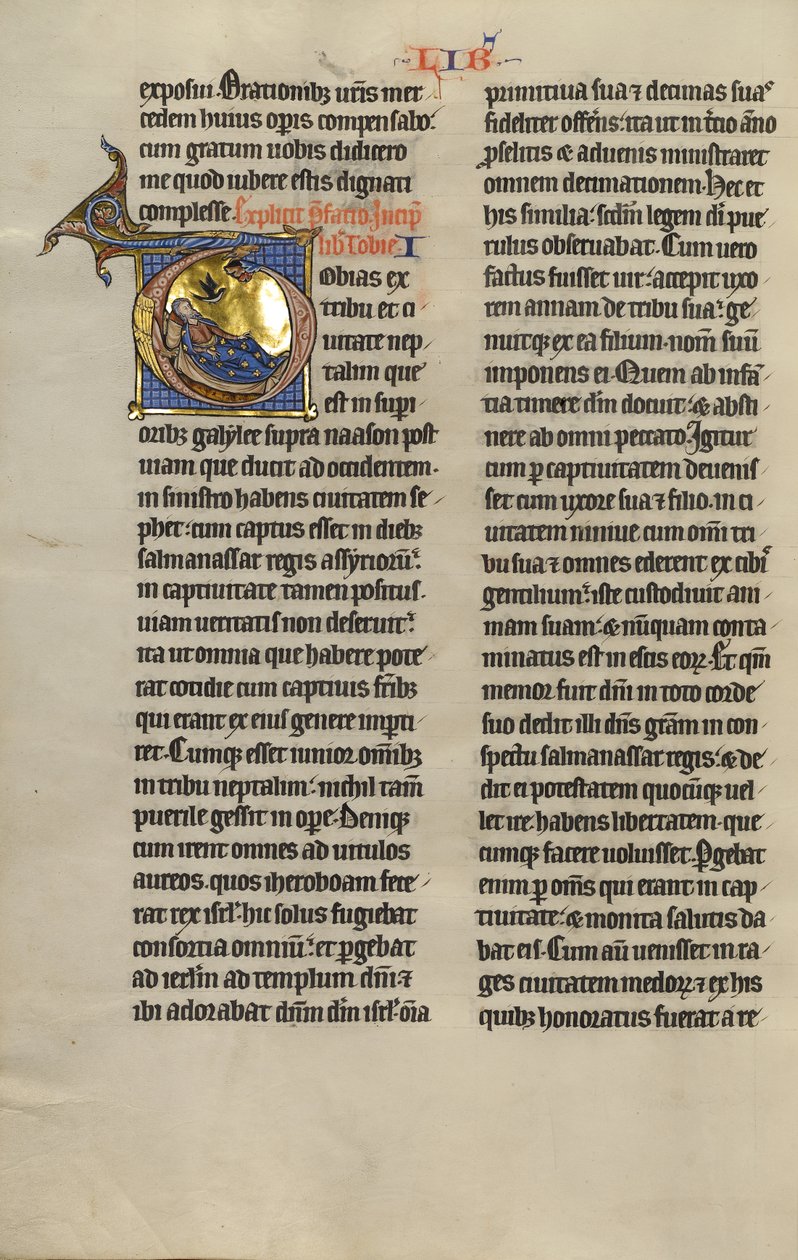 Initial T: The Blinding of Tobit by Unknown artist