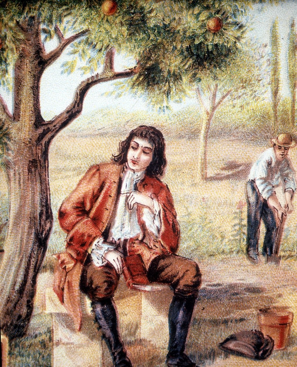 Isaac Newton, English mathematician, physicist and astronomer, finds the theory of gravitation by observing the fall of an apple tree, an illustration of the 19th century by Unknown artist