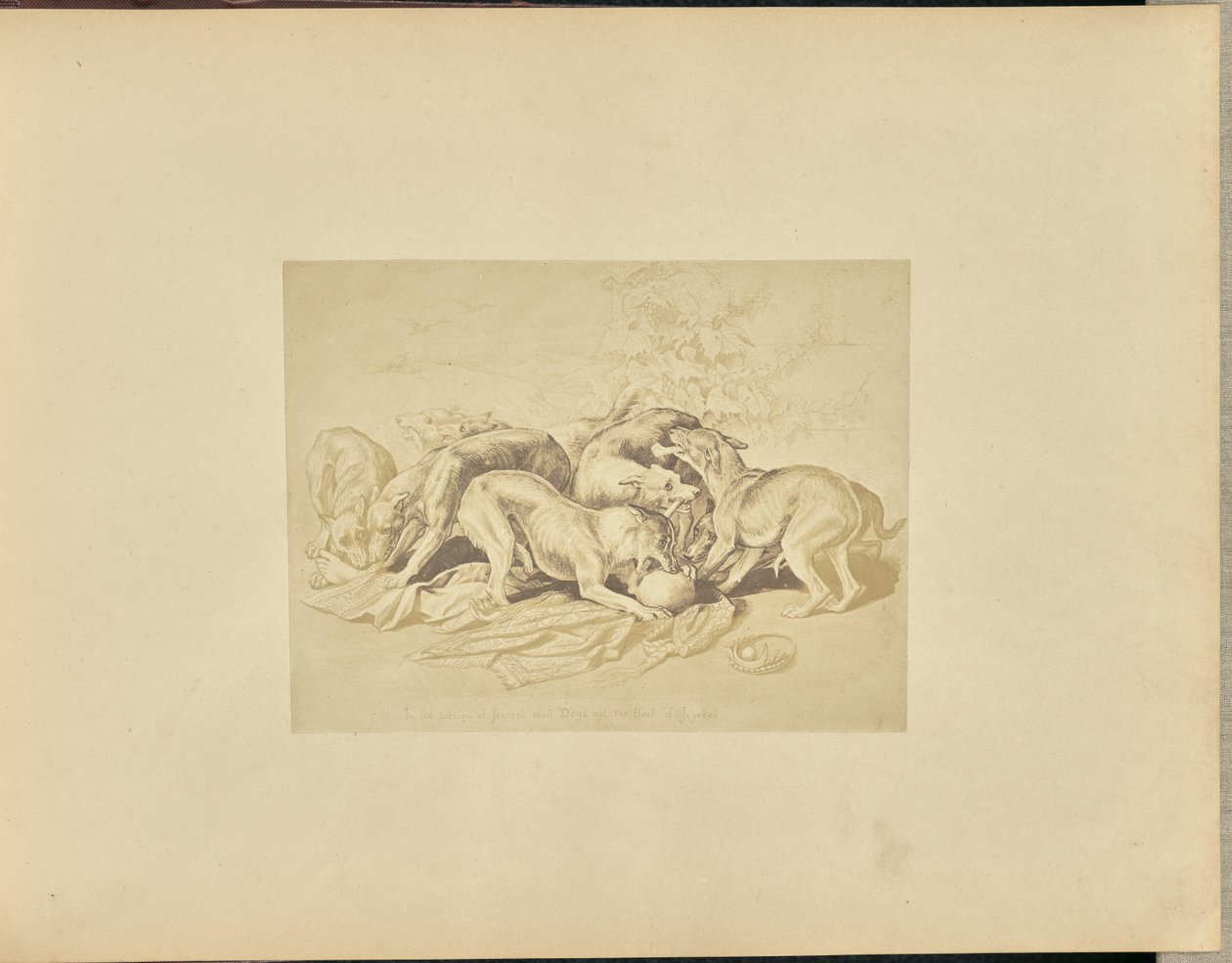 Jezebel by Unknown artist