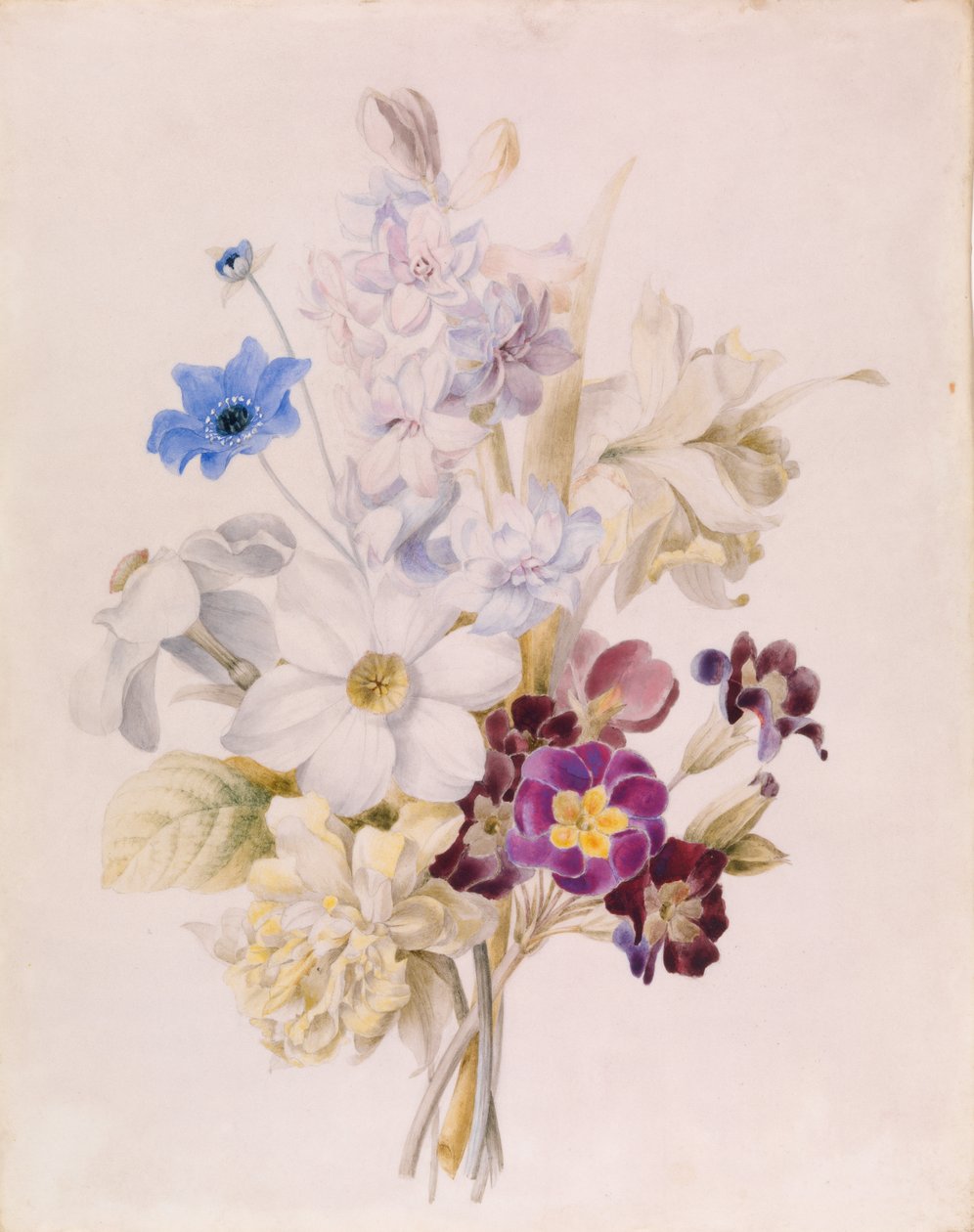 Narcissus and Other Flowers by Unknown artist