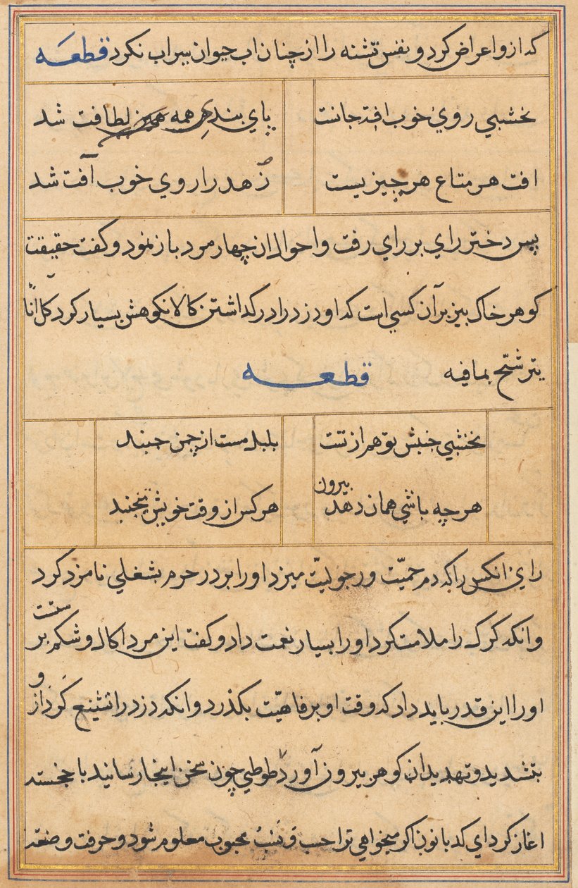 Page from Tales of a Parrot (Tuti-nama): text page by Unknown artist