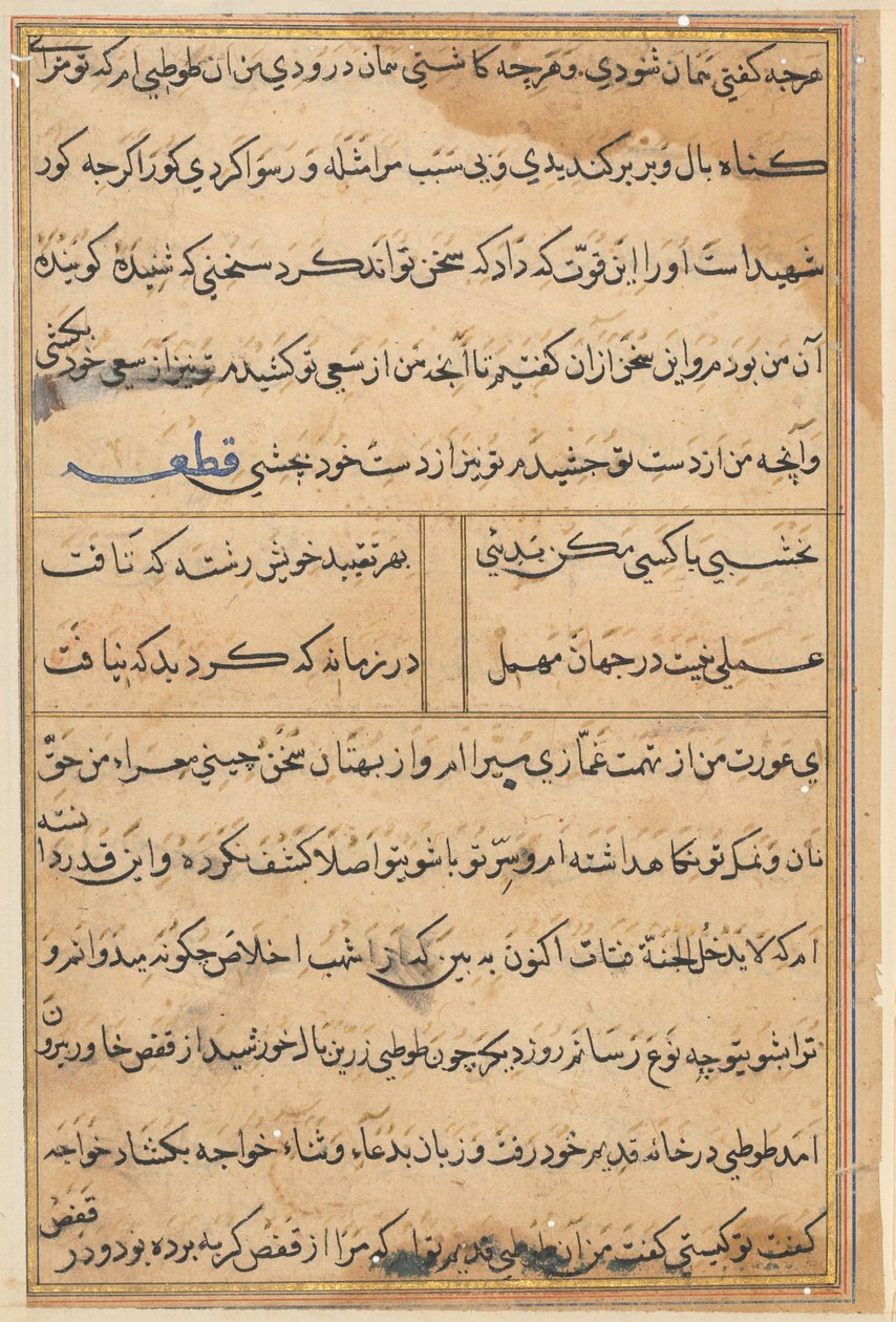 Page from Tales of a Parrot (Tuti-nama): text page by Unknown artist
