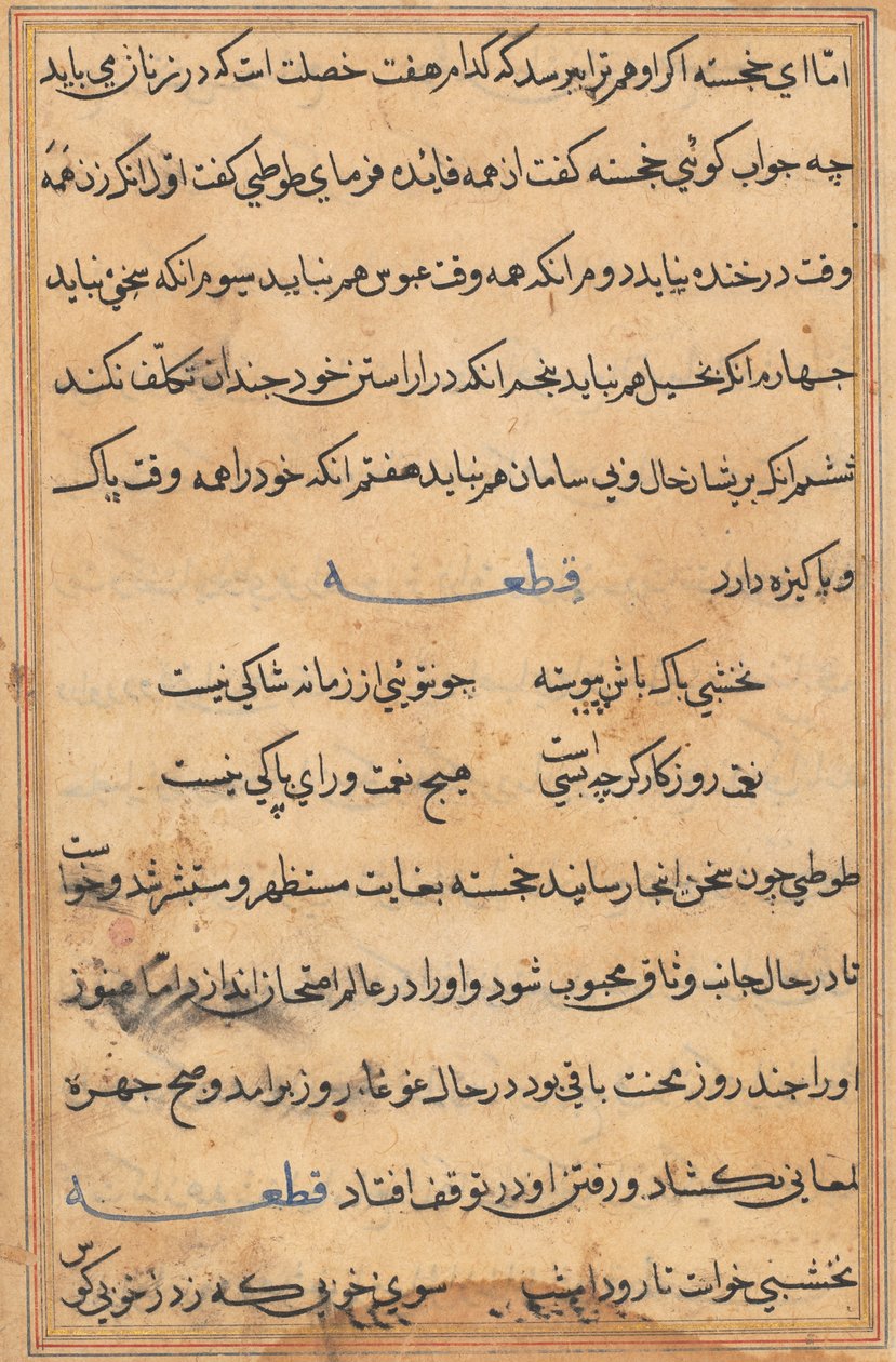 Page from Tales of a Parrot (Tuti-nama): text page by Unknown artist